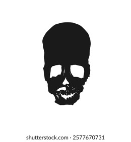 human skull vector without background