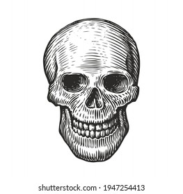 Human skull in vintage gothic style. Engraving sketch vector