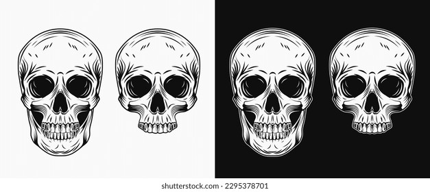 Human skull in vintage style  Whole skull  half skull without jaw  Front view  Balck   white illustration