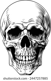 A human skull vintage woodcut intaglio style illustration