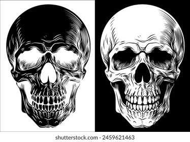 A human skull vintage woodcut intaglio style illustration
