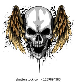a human Skull with Wings Vector Illustration