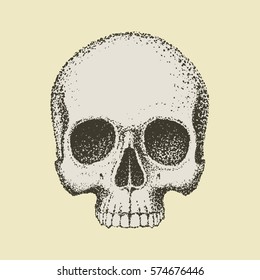 human skull without the lower jaw drawn in dots