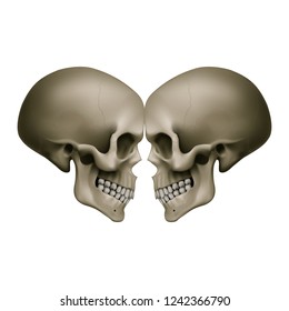 The Human Skulls with Mirror Effects. Illustration for Medicine, Science or for a Game Design on White Background