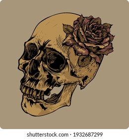 A human skulls with rose on background