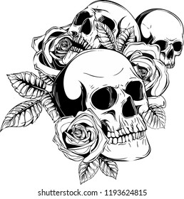 A human skulls with roses on white background