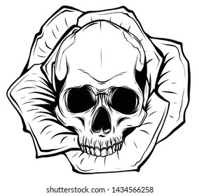 A human skulls with roses on white background