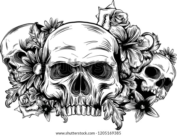 Human Skulls Roses On White Background Stock Vector (Royalty Free ...