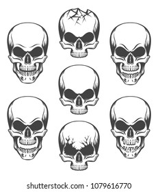 Human skulls set drawn in engraving style. Vector illustration.