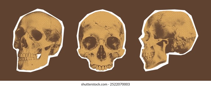 Human skulls in various poses. Monochrome halftone collage elements in retro bitmap style for scrapbook, poster art or t-shirt. Cutout dotted stickers with grain texture.