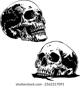 Human skulls vector art ink tattoo design