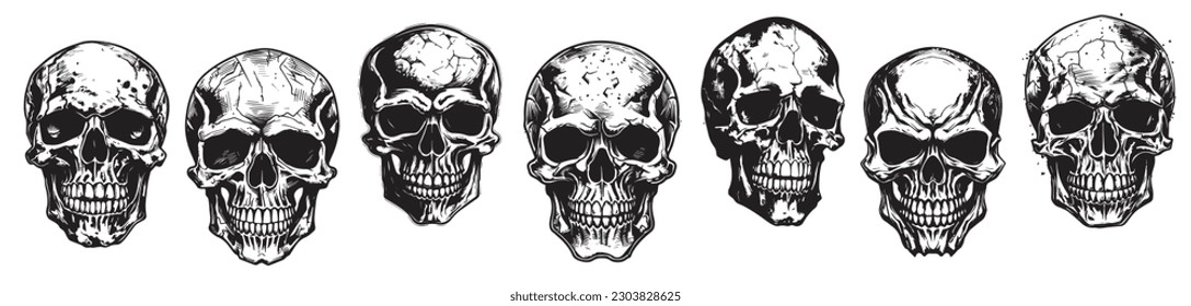 Human skulls vector silhouette illustration.