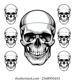 Human skulls vector silhouette illustration