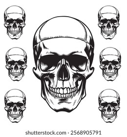 Human skulls vector silhouette illustration.