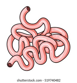 Human small intestine icon in cartoon style isolated on white background. Human organs symbol stock vector illustration.