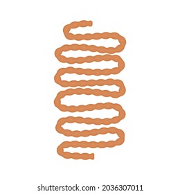 Human small intestine icon. Digestive organ. Medical education. 