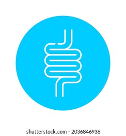 Human small intestine icon, high quality and editable. Very suitable for your web design, UI and mobile app design. 
Vector illustration on a blue background.
