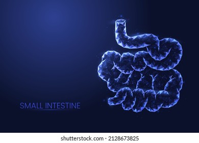 Ilustración vectorial del concepto de bajo peso intestinal humano.