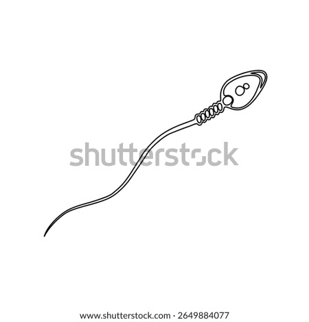 Human sperm cell vector illustration line drawing, human sperm anatomy, simple illustration, suitable for icons, logos, or your design element needs