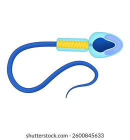 Human Sperm scientific vector illustration