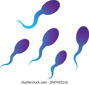 human sperms color icon vector image
