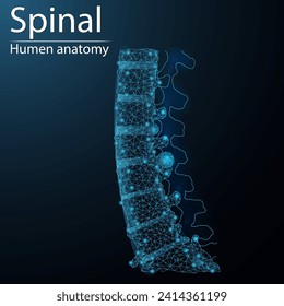 Human spinal anatomy organ translucent low poly triangle futuristic glowing. On dark blue background. Skeleton system disease medical innovation concept.
