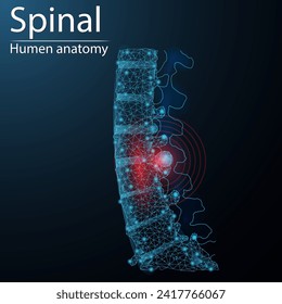 Human spinal anatomy organ translucent low poly triangle futuristic glowing. On dark blue background. Skeleton system disease medical innovation concept.
