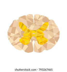 Human spinal cord polygonal geometric concept. Geometric abstract spinal cord cross section with triangular polygons, low poly background. Isolated. Central nervous system. CNS logo for medical design