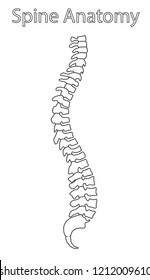 Human Spine Images, Stock Photos & Vectors | Shutterstock