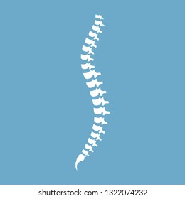 Human spine anatomy. Spinal segments and roots. Vector illustration white spine diagnostic symbol, design, sign on blue background. Diagnostic center.