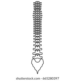 Human spine black icon .