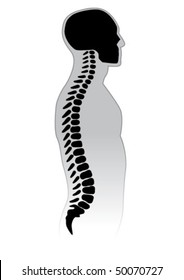 Human Spine. Black And White Illustration.