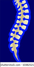  human spine in blue background	