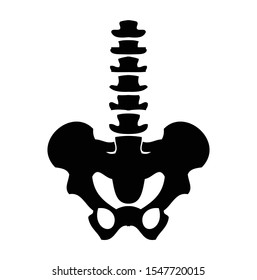 human spine bone pelvis icon