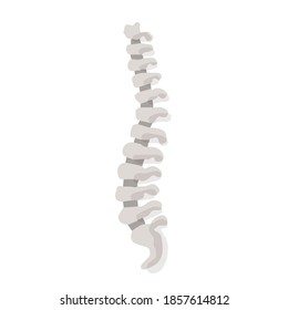 Human spine; Hand drawn vector illustration like woodblock print svg