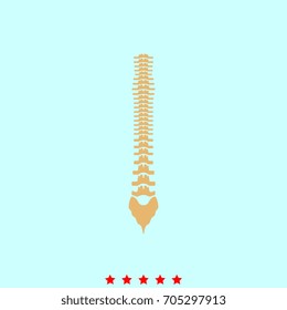 Human spine  icon .