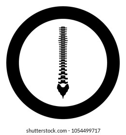 Human spine  icon black color in circle or round