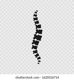Human spine icon. Spine logo isolated. Vector