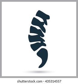 Human spine icon on the background