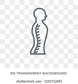 spine icon png images stock photos vectors shutterstock https www shutterstock com image vector human spine icon trendy flat vector 1255712455