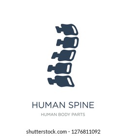 human spine icon vector on white background, human spine trendy filled icons from Human body parts collection, human spine vector illustration