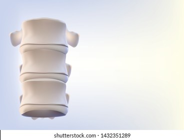 The human spine image is realistic. Shows the medical accuracy of human skeleton and 3D rendering.