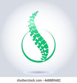 Human spine isolated on a white background. Vector illustration. Green silhouette of spine.  symbol of diagnostic. Vector. human spine silhouettes. Spine.Logo element