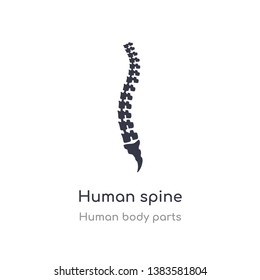 human spine outline icon. isolated line vector illustration from human body parts collection. editable thin stroke human spine icon on white background