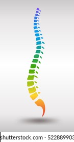 Human spine. Rainbow gradient colored backbone