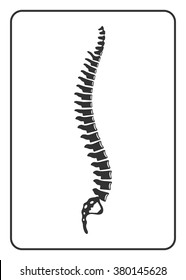 Human spine sign. Black silhouette icon isolated on white background. Element for graphic design, website, medical or orthopedic business. Symbol of skeleton, bone, back, medicine. Vector illustration