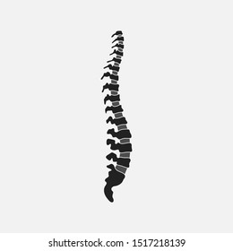 Human spine silhouette isolated on gray background. Vector illustration)