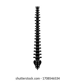 Human spine vector illustration. Backbone and vertebral column anatomy. Scoliosis concept and symbol of spinal surgery. Back posterior, front view isolated. Medical, educational and science banner 
