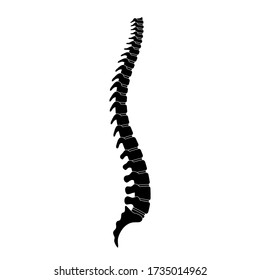 Human spine vector illustration. Backbone and vertebral column anatomy. Scoliosis concept and symbol of spinal surgery. Side lateral view isolated. Medical, educational and science banner .