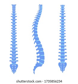 Lumbar Spine Anatomy Diagram High Res Stock Images Shutterstock